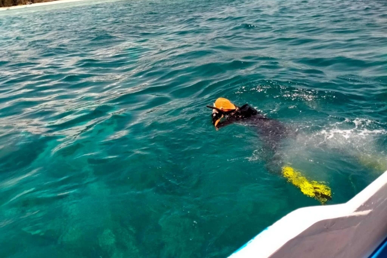 Excursión de un día 3 Islas Gili con snorkel incluidoInicio del snorkel desde la zona oeste y norte de Lombok
