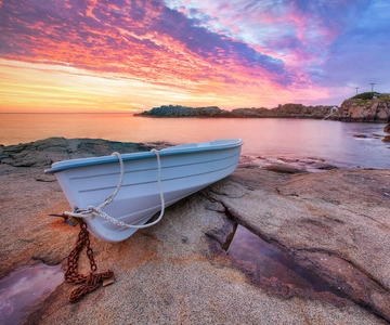 Vanuit Boston: New England Seacoast Dagtocht