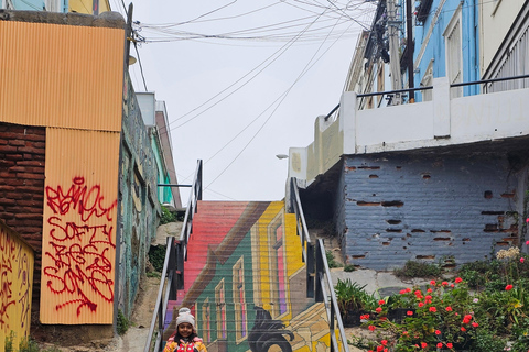Valparaíso: Stadsrundtur med Viña del MarValparaíso: Stadsvandring med höjdpunkter i Viña del Mar