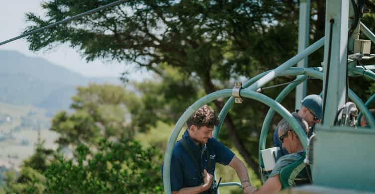 Nelson: Cable Bay Adventure Park Skywire Experience photo 9