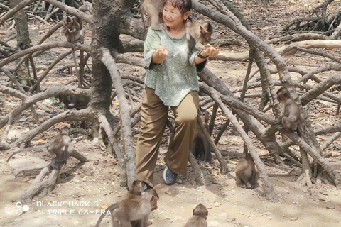 Visite d&#039;une jounée de la forêt de mangroves de Can Gio et de l&#039;île aux singes