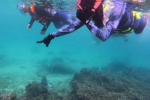 Hong Kong Geopark: Volcano Sightseeing & Hidden Coral Snorkeling Experience (Private) Volcano Sightseeing & Snorkelling Experience