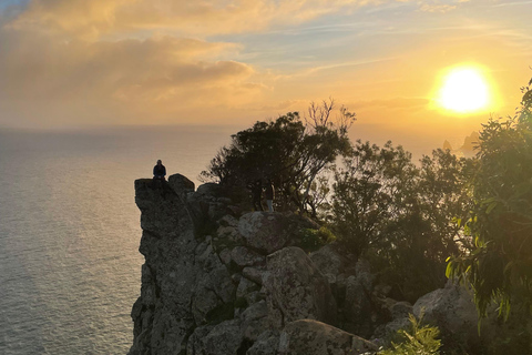 Madeira: Private Remote Sunrise & Eastside Wonders 4x4 Tour