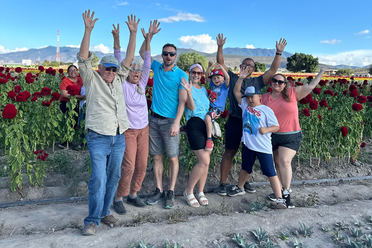 Hierve el Agua en Mezcal distilleerderij (Kleine groepen)