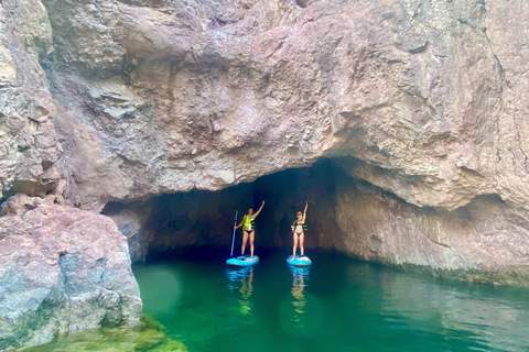 Plage de Willow : Location de paddle board