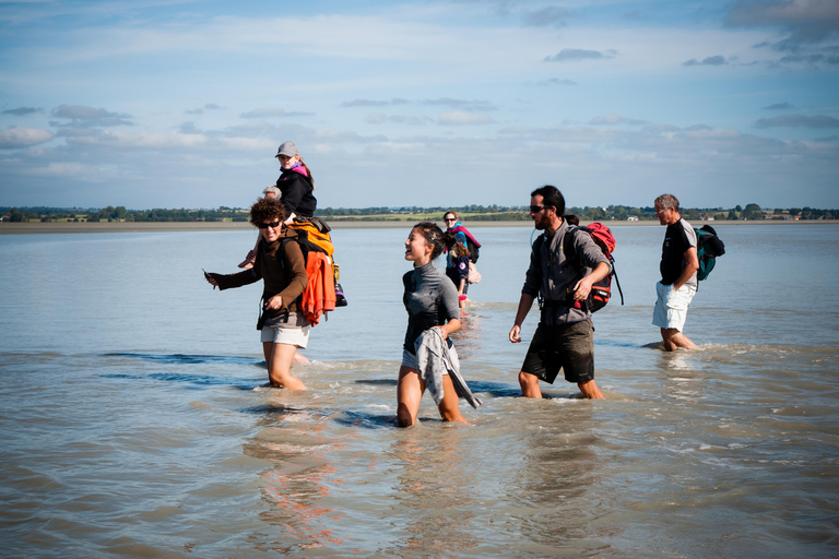 Bay of Mont Saint-Michel: Discovery walk and quicksand Bay of Mont Saint-Michel: Discovery Walk and Swirling Sands