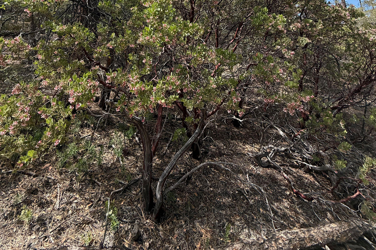 Arizona: Tonto National Forest Guided Half-Day Hike