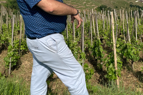 DUO PAIS CRIANÇAS VINHO CÔTE-RÔTIE TOUR VISITA