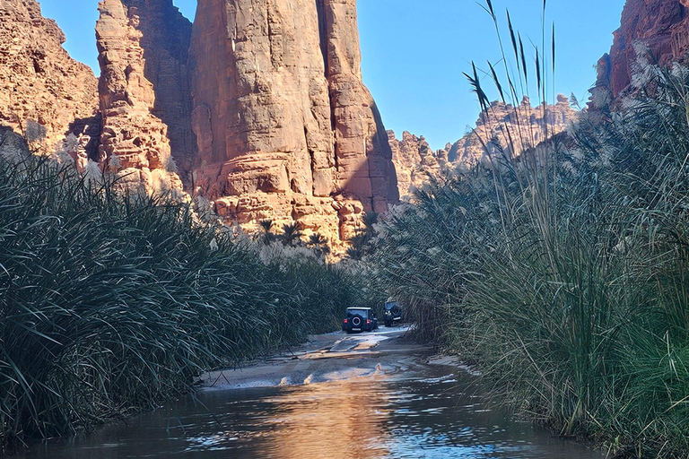 AlUla: Wadi Al Disah Day Trip with Guide