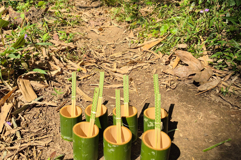 Chiang Rai: 2-Day Jungle Trek only walk with Waterfall