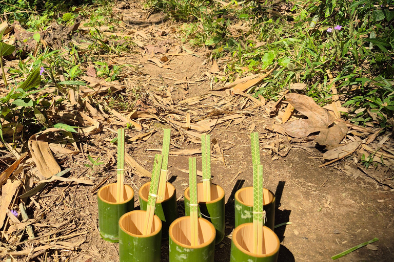 Chiang Rai: 2-Day Jungle Trek only walk with Waterfall