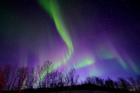 Tromso: Tour dell&#039;aurora boreale in minibus con falò