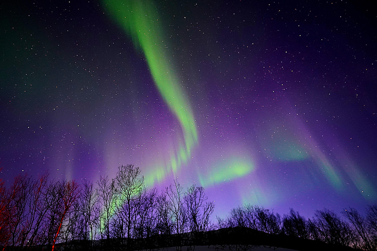 Tromso: Tour dell&#039;aurora boreale in minibus con falò