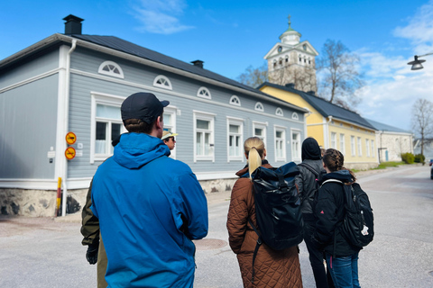 Da Helsinki: Rovine del castello di Raasepori e centro storico di Ekenäs