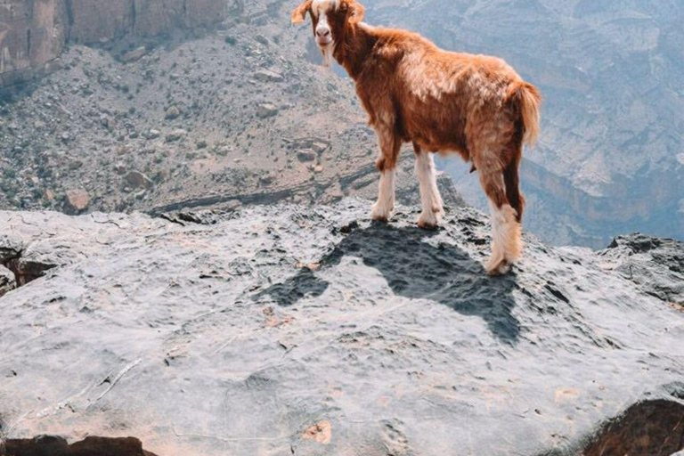 Jebel Shams Summit: Oman's Highest Peak & Grand Canyon Hike
