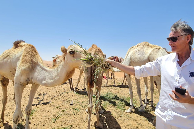 Shared Wahiba Desert Tour with Wadi, Cave, Bedouin & Sunset