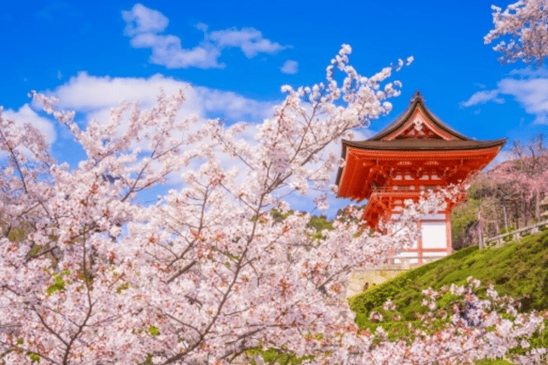 Kyoto & Nara: Guided Walking Tour with Deer Encounter