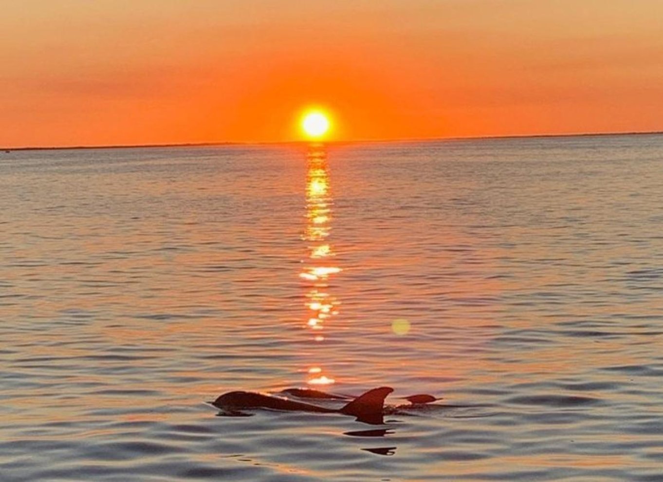 Key Largo: Krydstogt ved solnedgang