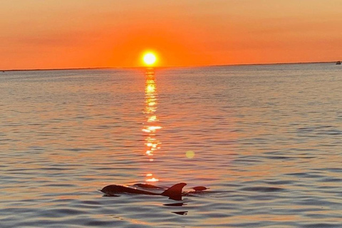 Key Largo: Sunset Cruise