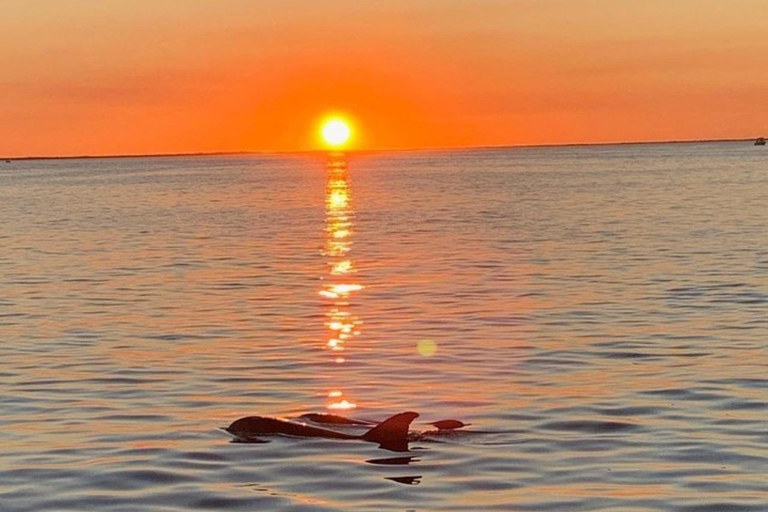 Key Largo: Sunset Cruise