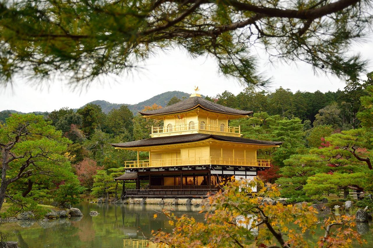 Osaka: Nara i Kioto - prywatna wycieczka 1-dniowa