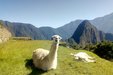 Het Peru van de Andes