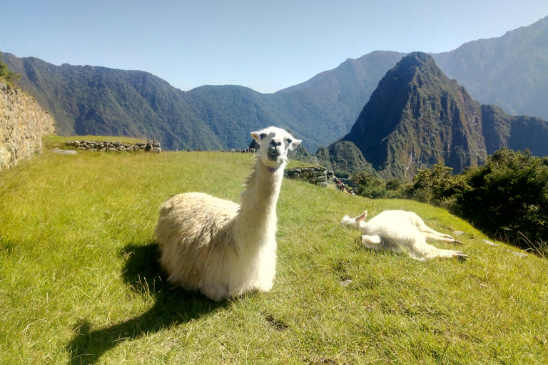 Het Peru van de Andes