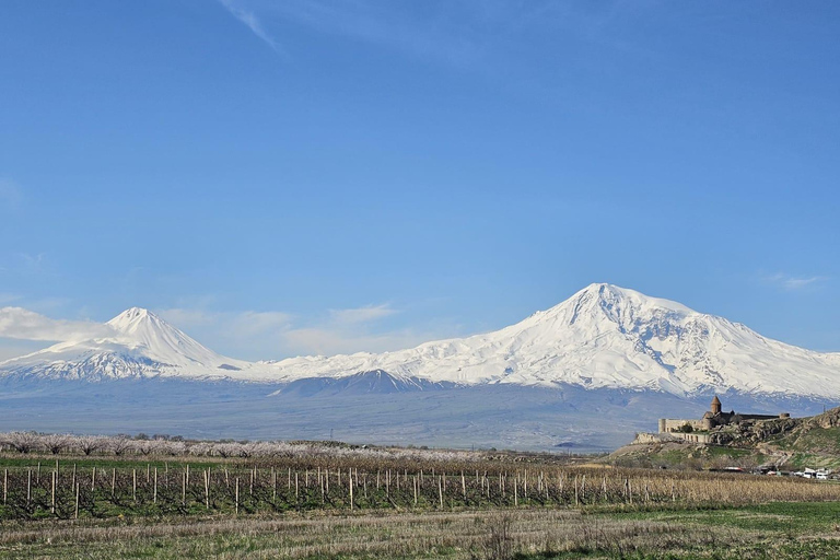 Yerevan: Khor Virap, Areni, & Noravank Private Tour