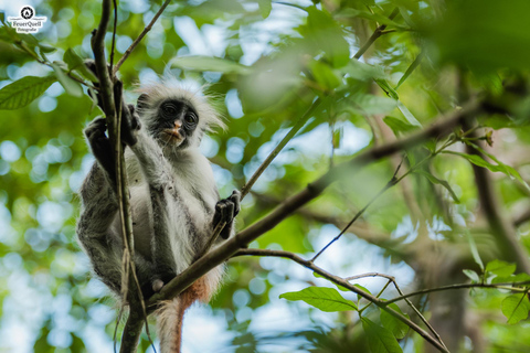 Secret Beach, Kuza Cave and Jozani forest with transfer