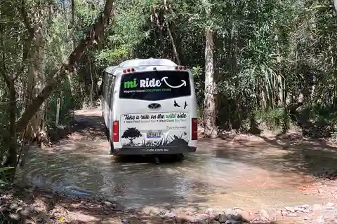 Magnetic Island: Vestkystens øko-eventyr 4WD-tur