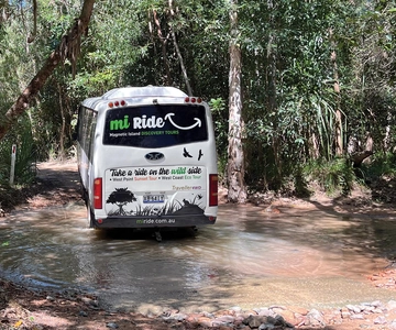 Ilha Magnética: Excursão de ônibus Eco-Aventura pela Costa Oeste