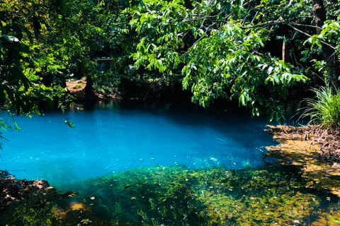 Krabi: Half-Day Blue Lagoon Kayaking at Klong Srakaew & ATV Half-Day Kayaking at Klong Srakaew with ATV