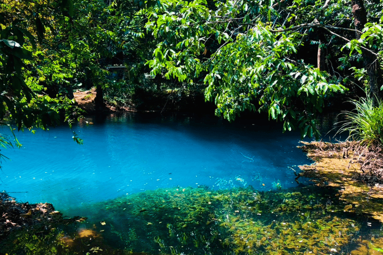 Krabi: Half-Day Blue Lagoon Kayaking at Klong Srakaew & ATV Half-Day Kayaking at Klong Srakaew with ATV