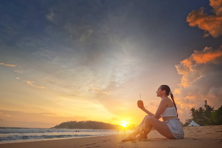 Colombo/Negombo: South Coast Private Transfer & Turtle Visit 3 Person Only