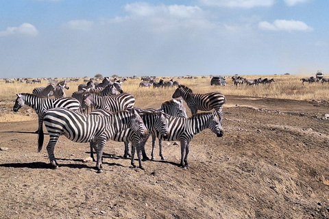 Safari matinal dans le parc national de Nairobi