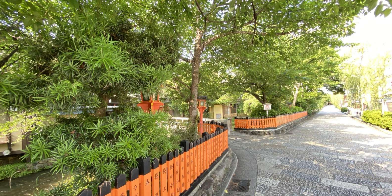 Kyoto experience — temples, geisha, bamboo grove — image 14