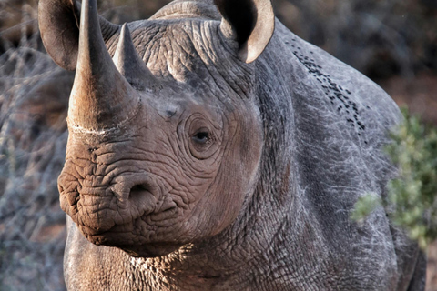 Best 3-Day Mount Meru Hike | ISMANI TOURS & SAFARIS