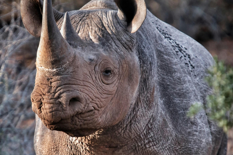 Best 3-Day Mount Meru Hike | ISMANI TOURS & SAFARIS