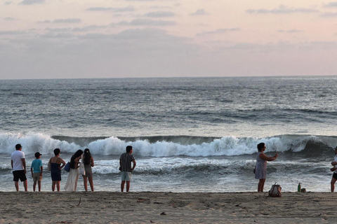 Puerto Escondido: Unforgettable Turtle Release Experience
