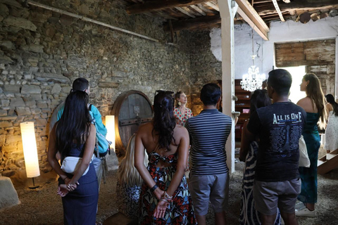 From Porto: 2 Boutique Wineries w/ Winery Lunch & 1-h cruise Tour in English