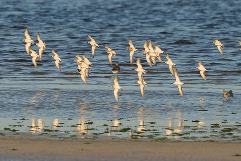 3 Days Safari Adventure Explore the Wild Heart of Africa