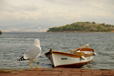 Istanbul: Princes' Islands Trip from Old City Port + Pick Up Tour Including Lunch Excluding Hotel Pick up