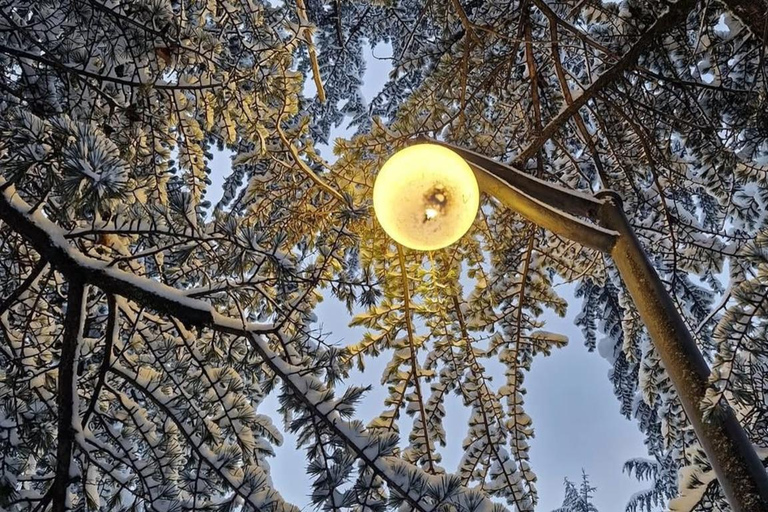 Tbilisi: Borjomi and Bakuriani Day Trip with Guide