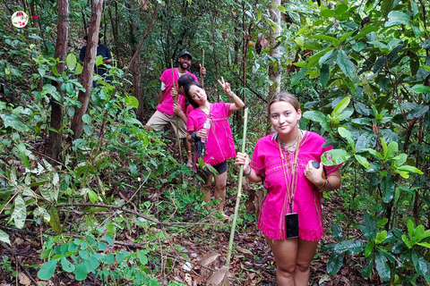 Chiang Mai: Excursão e caminhada ao Doi Inthanon e ao santuário de elefantes