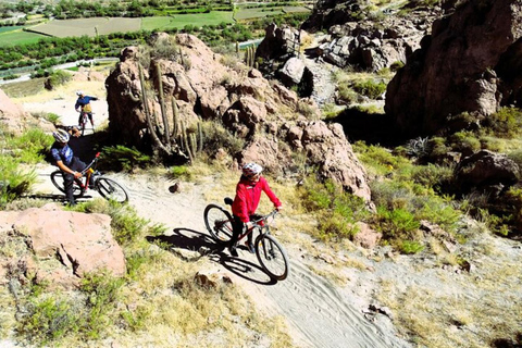 Arequipa: 3-timmars mountainbike-tur