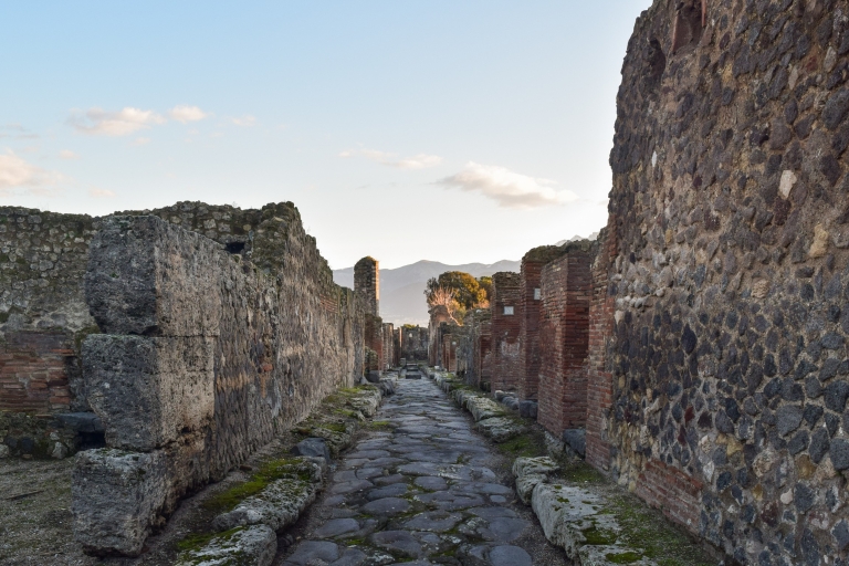 Pompeii: voorrangsticket met audiogids