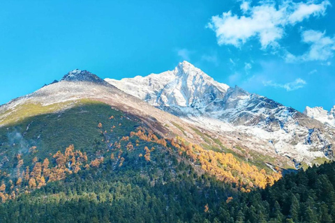 Sichuan: Bipeng Valley Ticket