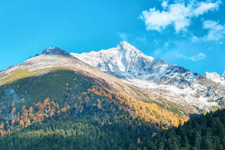 Sichuan: Bipeng Valley Ticket