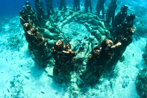 Gili Islands Snorkeling Tour - Explore Underwater Paradise 4 Hours Private Snorkeling Meeting Point at Gili Trawangan