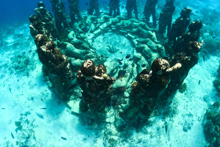 جولة الغوص السطحي في جزر جيلي - استكشف الجنة تحت الماءأفضل صفقة - رحلة مفتوحة للغطس من جيلي تراوانجا